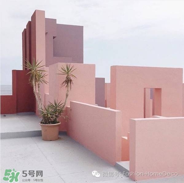 ���ɫ��ʲô��ɫ�����ɫ�ں���ɫ